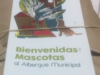 BIENVENIDAS LAS MASCOTAS AL ALBERGUE MUNICIPAL