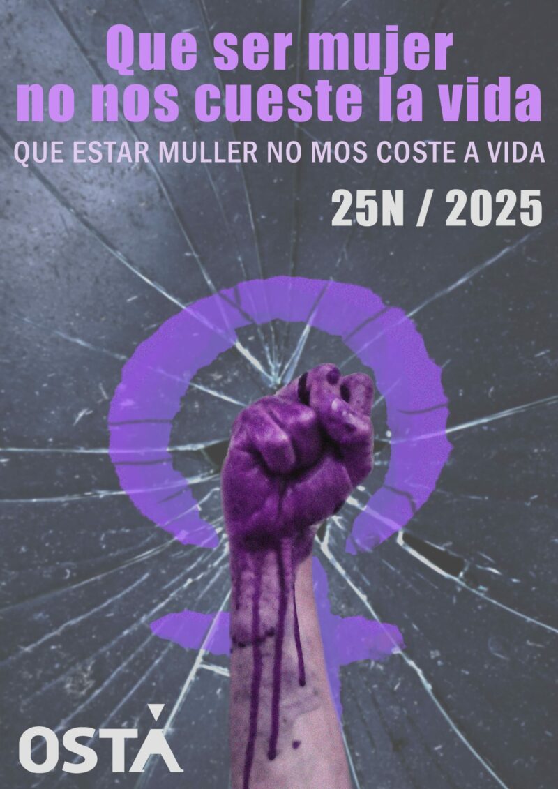 25N QUE SER MUJER NO NOS CUESTE LA VIDA