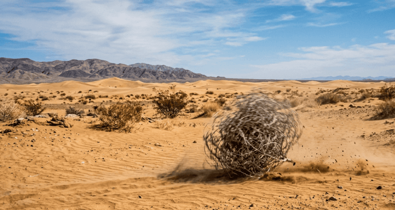 DECLARAN DESIERTOS VARIOS CONCURSOS ORDINARIOS DE MÉRITOS SIMULTÁNEOS A PROCESOS SELECTIVOS